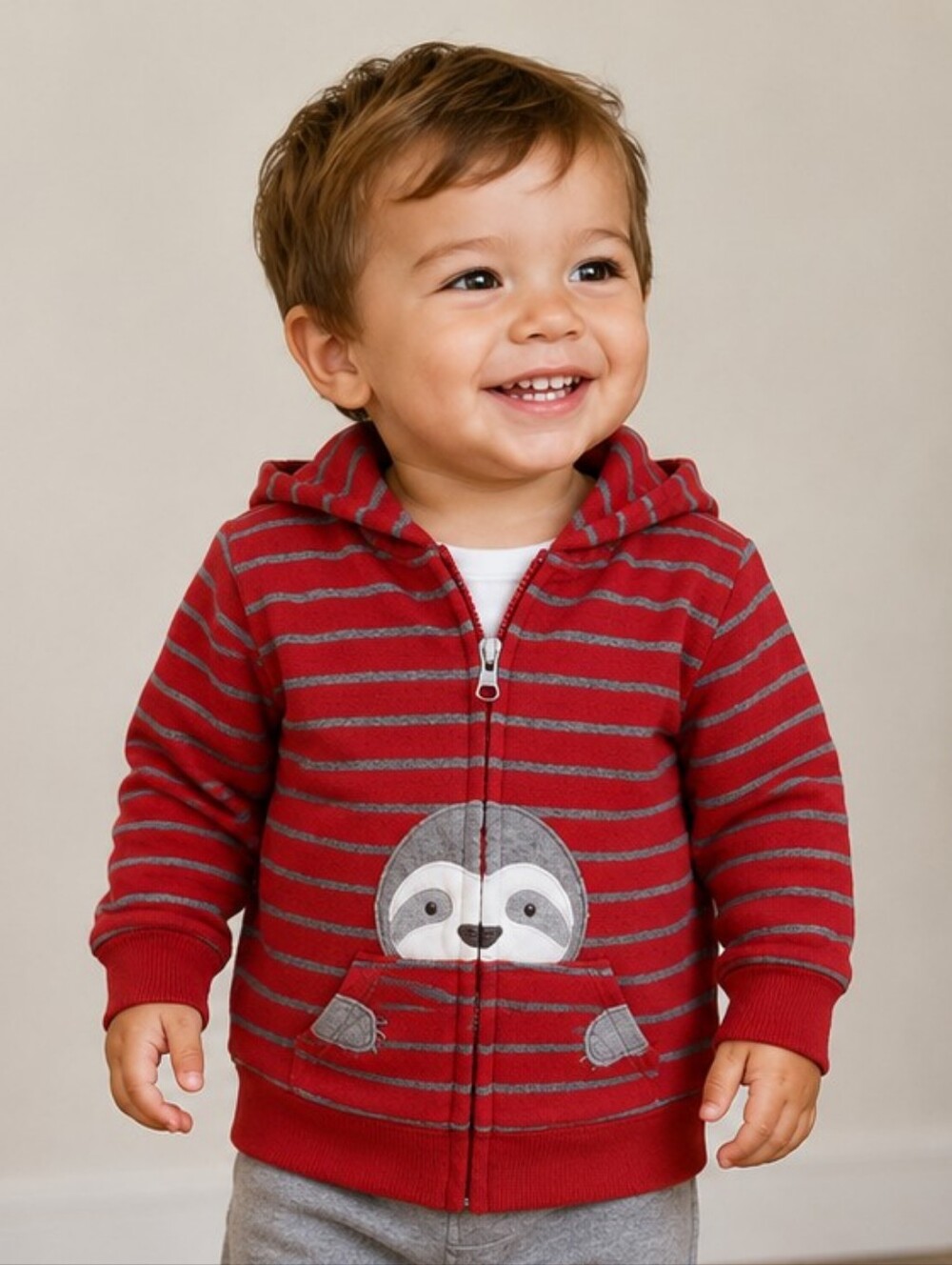 24m Boys Fleece sloth Hoodie And Shirt